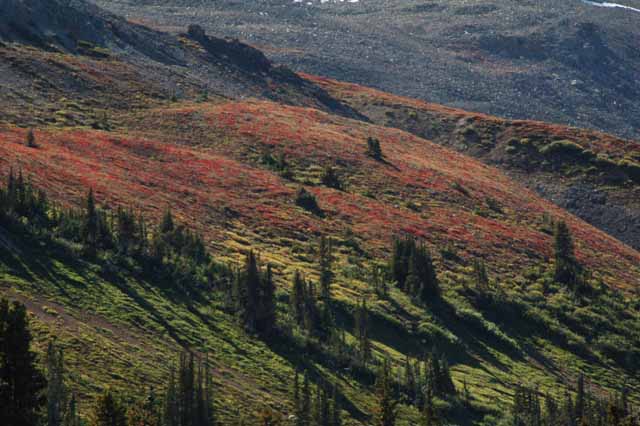 Parker Ridge